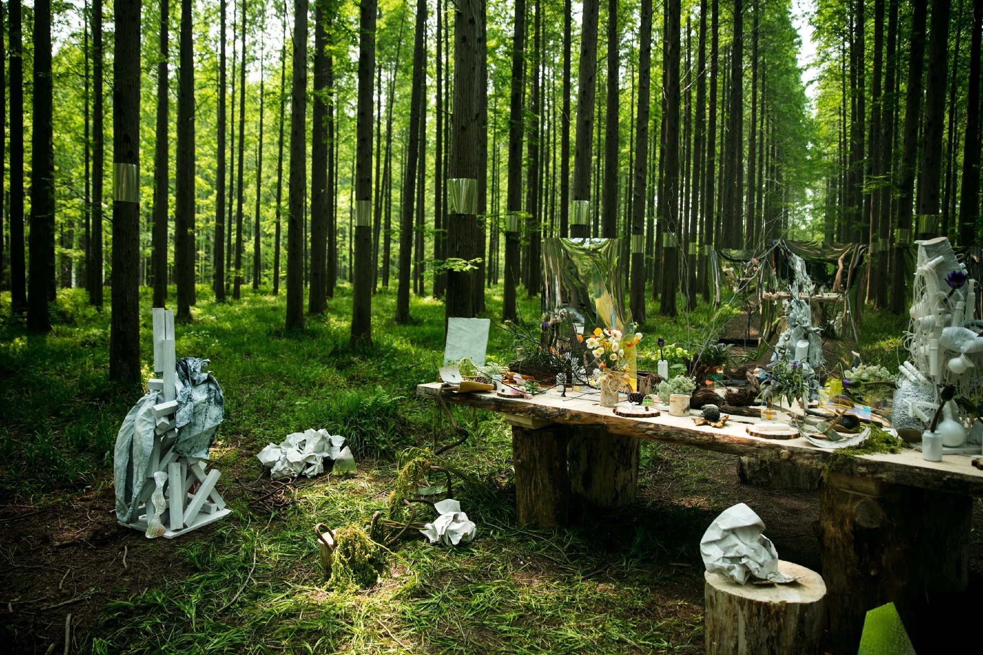 Endless · Huanghai National Forest Park