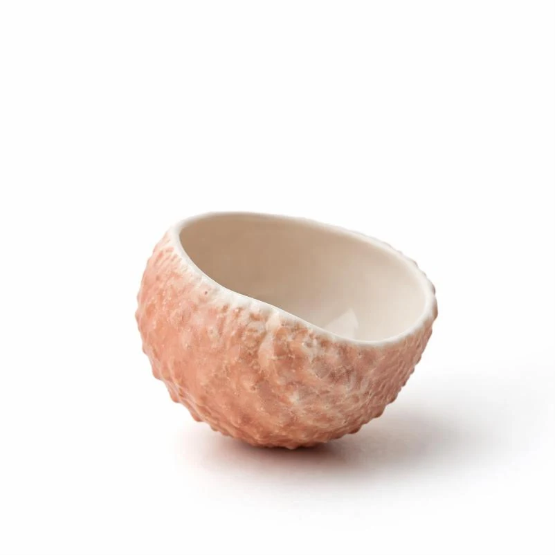 Guangdong · Lychee